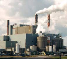 Pulp Mill image